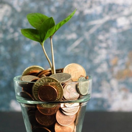 plant growing out of coins