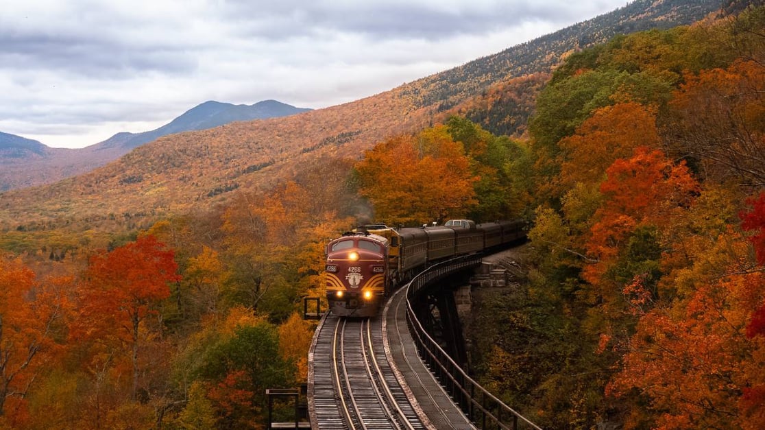 train driving through fall foliage